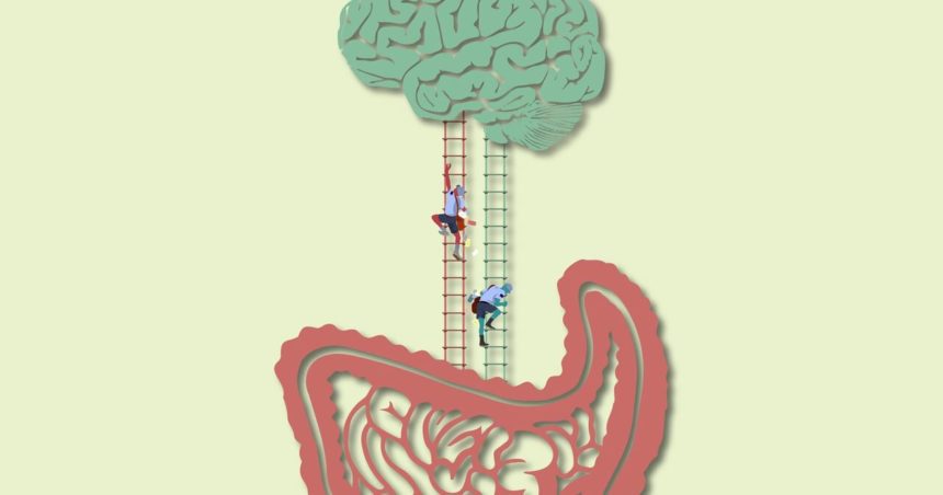 Gut brain axis ladder